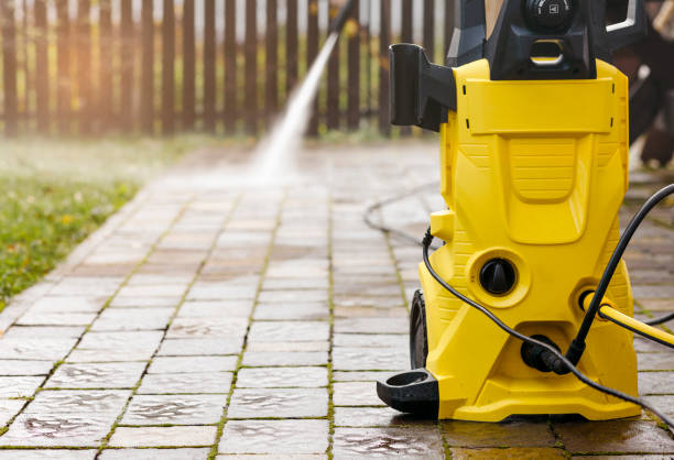 Animal Enclosure Cleaning in Denton, NC